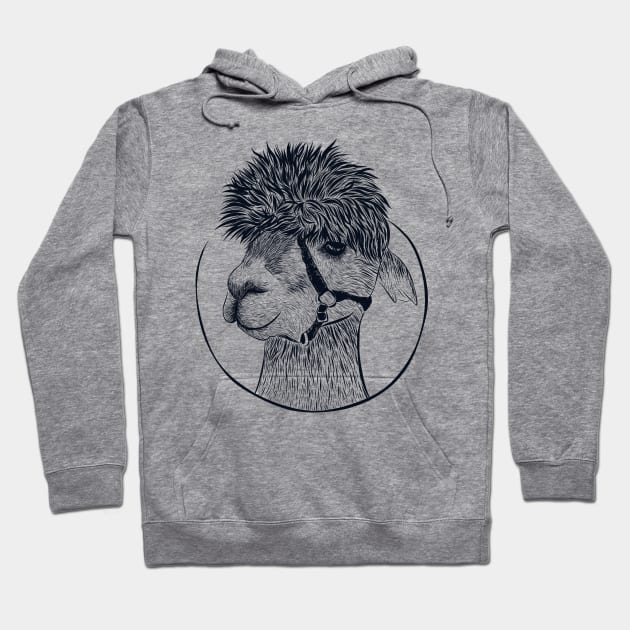 Guanaco Llama Vicuna Breeder Alpaca Hoodie by GraphicsLab